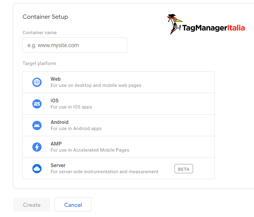 container setup in a new Google Tag Manager account container setup in a new Google Tag Manager account