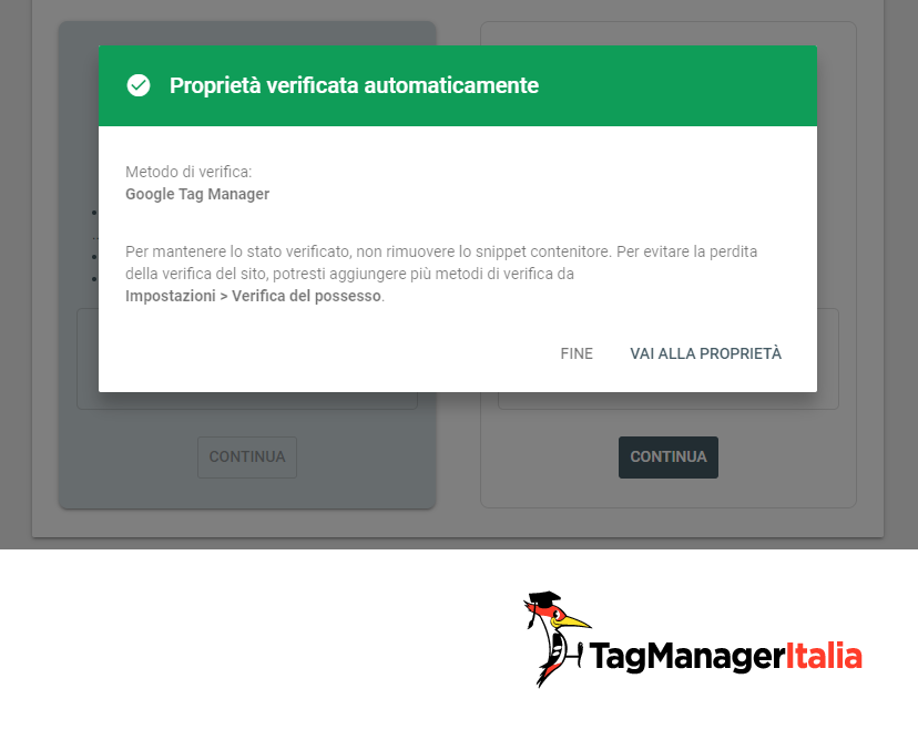 search console proprietà verificata con Google Tag Manager search console proprietà verificata con Google Tag Manager