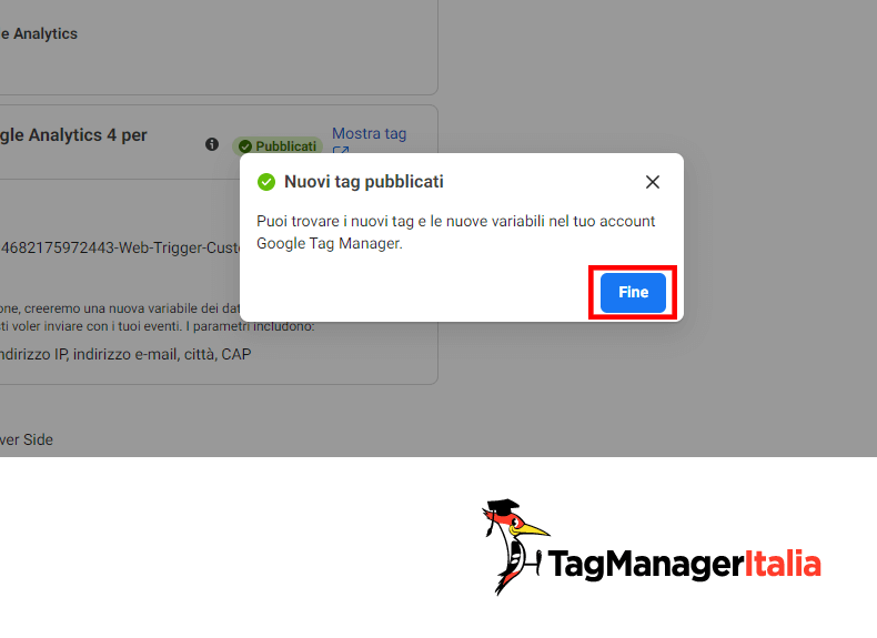 conferma creazione tag GTM per conversion API facebook conferma creazione tag GTM per conversion API facebook