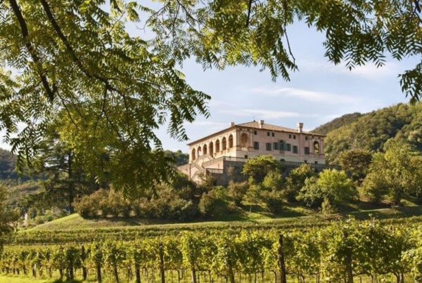 Villa storica circondata da giardini e vigneti.